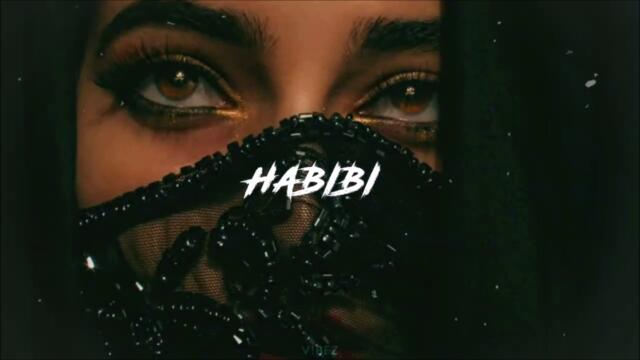 Rakhim - Look at me Habibi (Bakhromovich Remix)