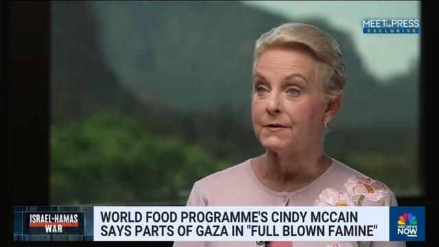 ‘Full-blown famine’ in northern Gaza, says World Food Programme executive director Cindy McCain