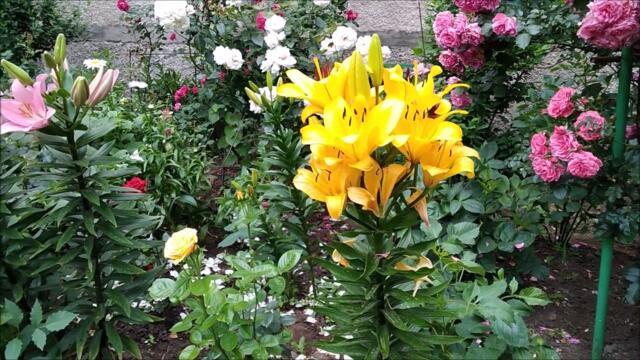 НЕ РЕВНУЙ МЕНЯ