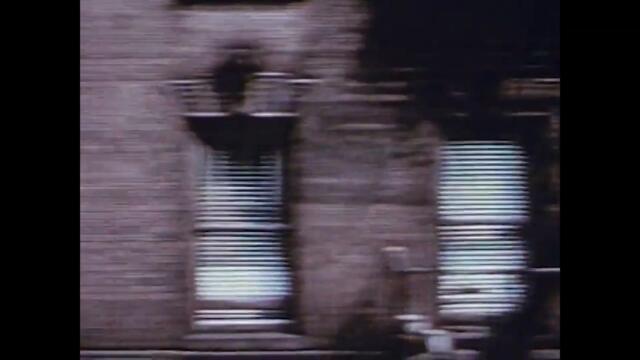 Psalm Trees - whatiwant (Music Video)