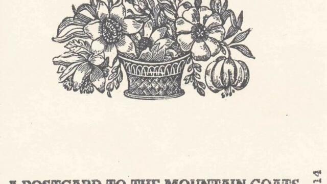 The Kitchen Cynics - It Froze Me [UK] Lo Fi, Psych Folk (1999)