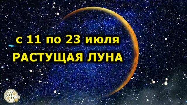 Растущая луна в июле 2021: с 11 по 23 июля. Что можно и нельзя делать. Ритуалы и обряды
