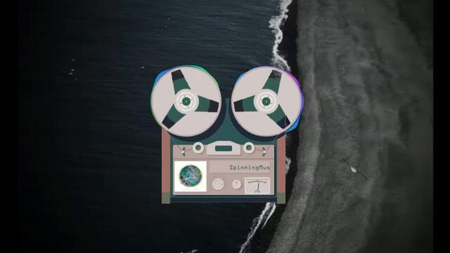Ian Ewing - Cereus (Gerwin remix)