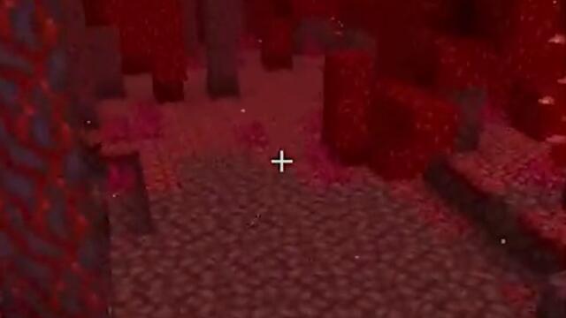 minecraft speedrunning in a nutshell