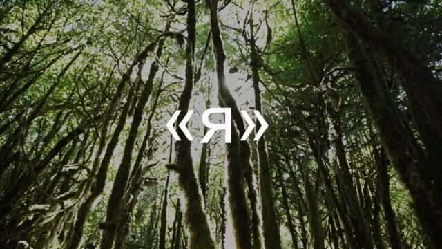 🔴 Інь-Ян — прадавній трипільський символ