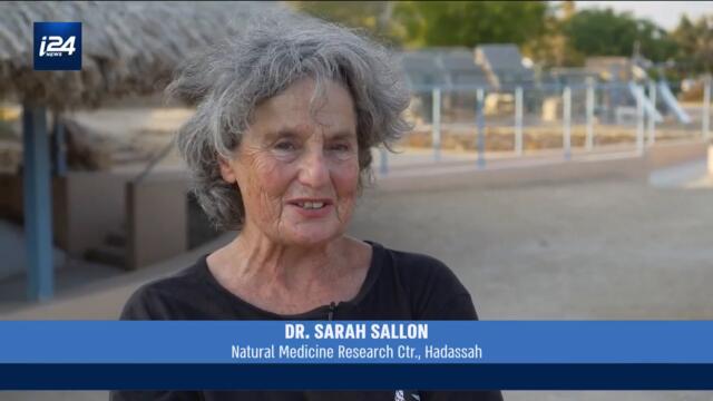 Israeli Scientists Have Revived Ancient Judean Dates From Extinction