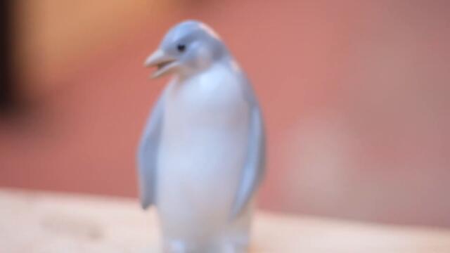 Lucia - Rogue (official video)