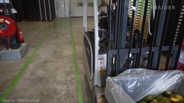 How Vegan Leather Is Made From Mangoes | World Wide Waste