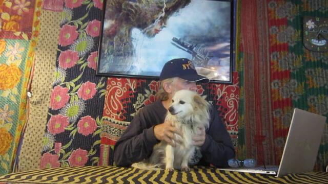 Ecologist Diana Six: " I am no longer documenting life. I’m describing loss, decline, death"