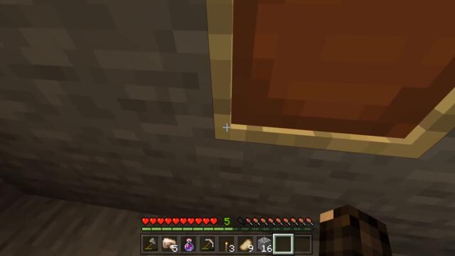 How to Play Sonic the Hedgehog in Minecraft - Coffin Meme