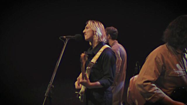 Flamingo Blonde | The QUBE Effect 2021