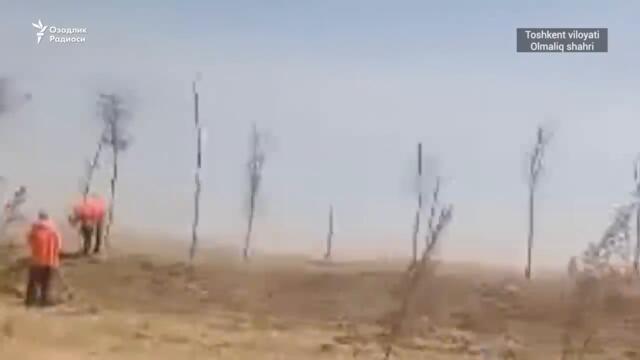 Prezident kelishiga ayollar jazirama issiqda ko‘cha tozaladi