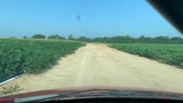 FORCED MICKEY MOUSE SHOT // ARE YOU AFRAID??