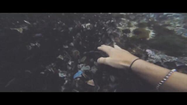 AudiMusic Radio • 24/7 Live Radio | Best Relax House, Chillout, Study, Running, Gym, Happy Music 2021-07-30 11:06