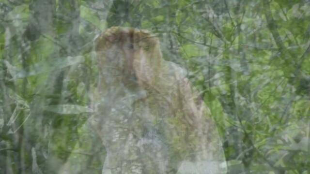 Barbagallo - Longue la nuit (Kevin Parker Remix) (Clip officiel)