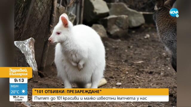 Пътят до 101 красиви и малко известни кътчета у нас - Здравей, България (30.07.2021)