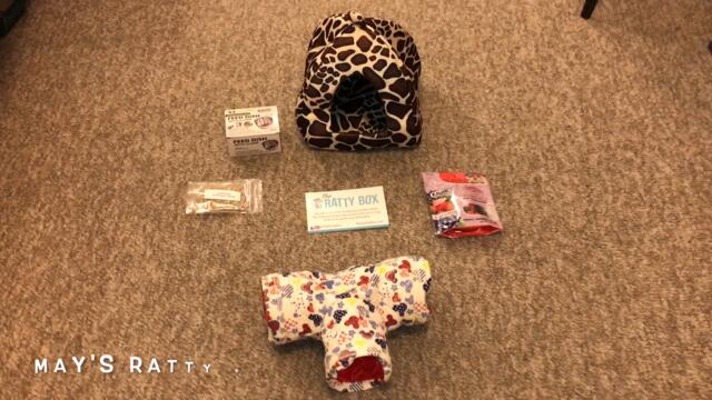 Reviewing July's Ratty Box (A Rat Subscription Service!)