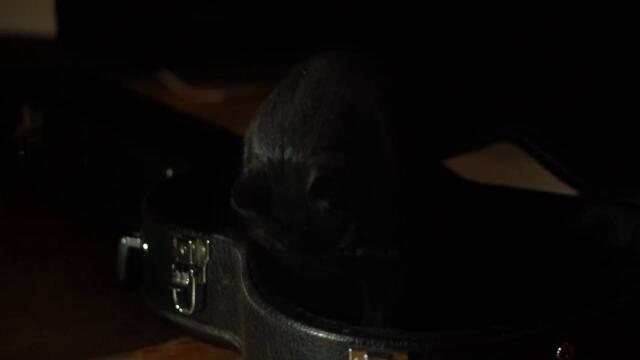 Cero (Carolina Barenbaum)