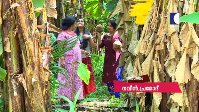 Aliyans - 242 | മുത്ത് എന്ന പെൺകുട്ടി  | Comedy Serial (Sitcom) | Kaumudy