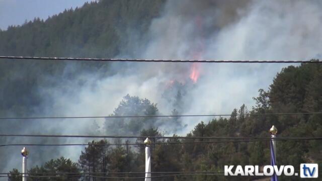 (обновена) Военен хеликоптер гаси пожара в боровата гора край Розино (видео)