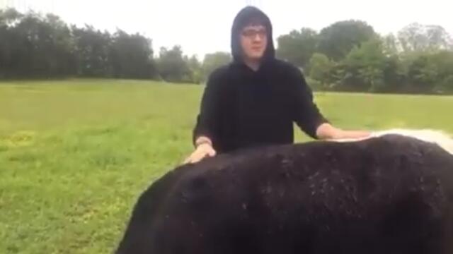 The Mii Channel theme but it's low quality and played on a wet cow