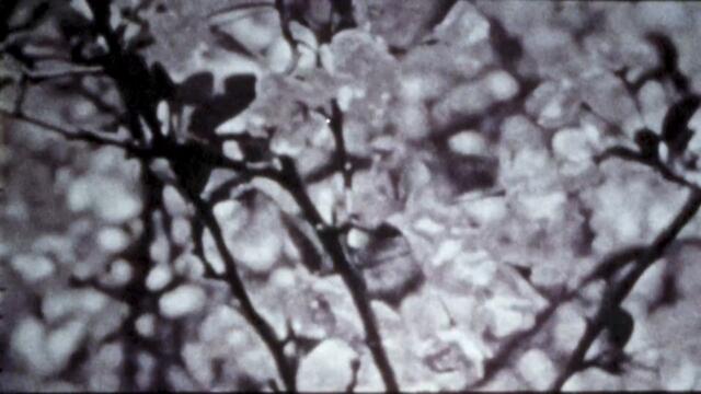 Purity Ring - soshy (Official Music Video)