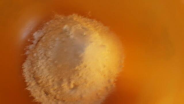 Американски палачинки - как да си приготвим? (епизод 36)