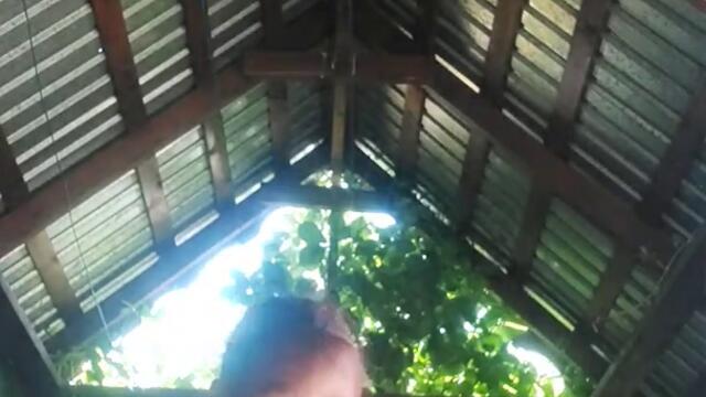 1 августа 2021 г.