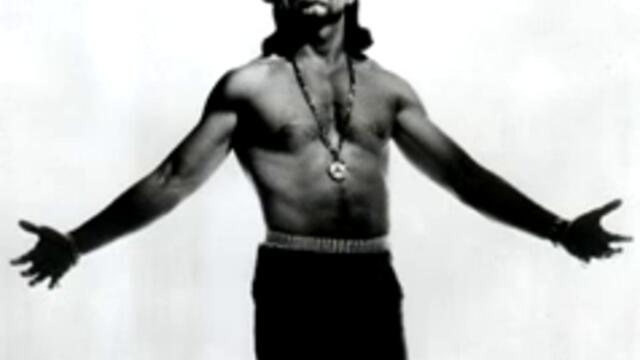 Ice T   Police Story