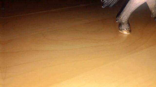 Never give up|| Трейлър||