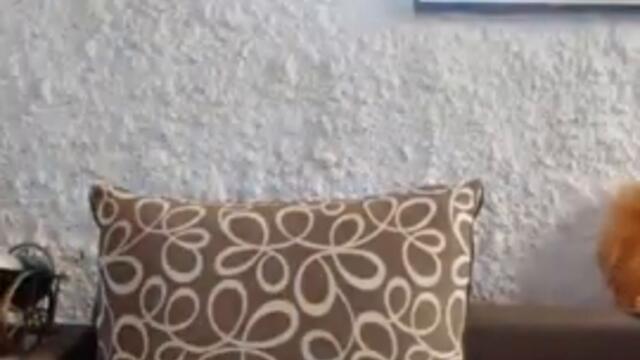 Шоуто на Дани Папазов Сезон 4 Епизод 5