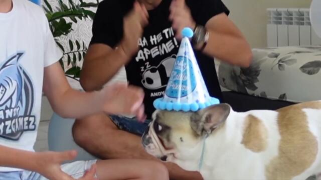 24 ПОДАРЪКА ЗА 24 ЧАСА ЗА ПЪРВИЯ РОЖДЕН ДЕН НА КУЧЕТО НИ!