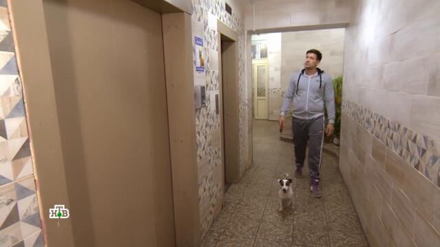 "Красная зона". 90 серия