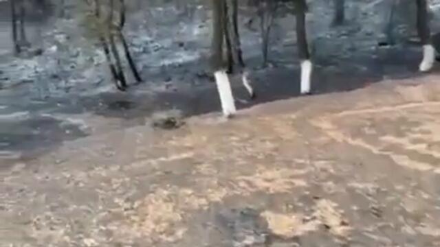 Orthodox monastery in Greece. saved by a miracle from wildfire