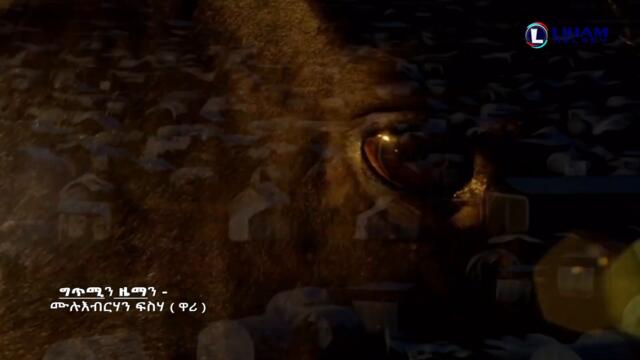 Mulubrhan Fisseha (Wari) - Cha | ሙሉብርሃን ፍስሃ (ዋሪ) ''ቻ'' Tigray Music (Official Video)