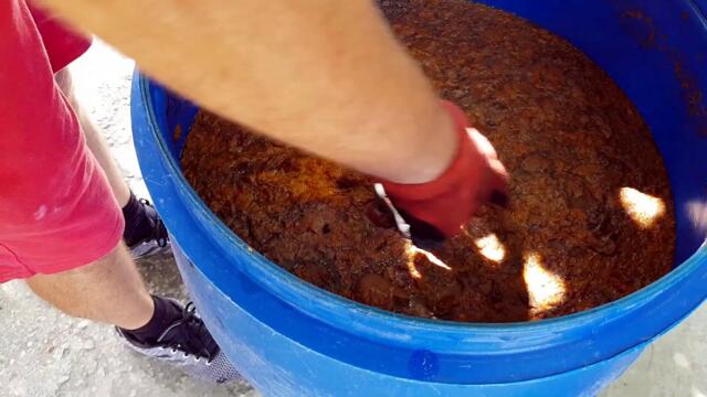 🆕How To Make Bulgarian Rakia [2021]