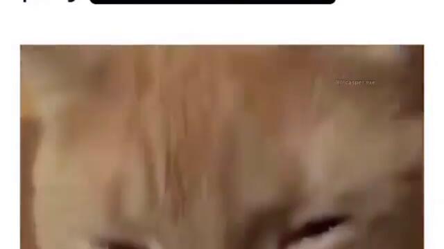 lilcasper.exe_20201225_161209_0