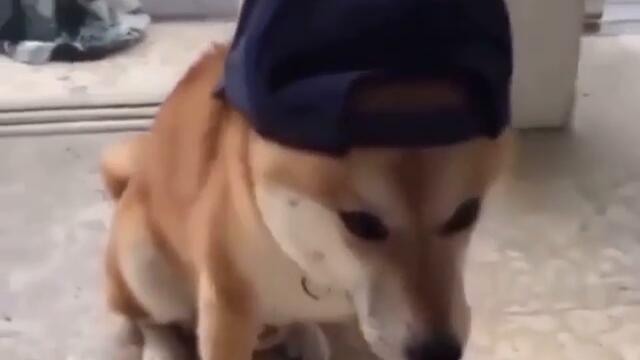 204245442_175318541274864_179296476811565246_n