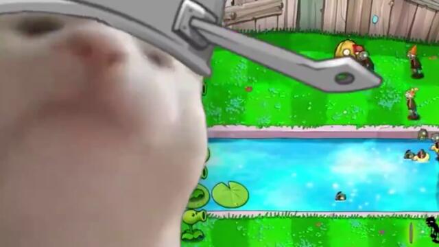 cat_vibes_to_loonboon