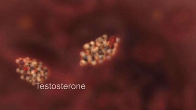 8 начина да повишим ТЕСТОСТЕРОНА натурално / Old School Fitness