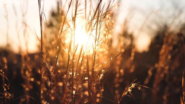 abp Grzegorz Ryś. Iluzoryczny trumf sił ciemności. Przyznajmy Jezusowi rację swoim życiem