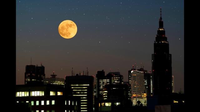 ОСЕТРОВОЕ ПОЛНОЛУНИЕ АВГУСТА  ДЕНЕЖНЫЙ РИТУАЛ 7  МОНЕТ.