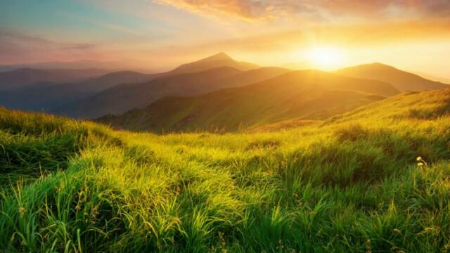 Елеазар Хараш - Смешни афоризми (Продължение) - Лекция 06.12.2016