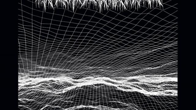 Skeletal Bifurcation