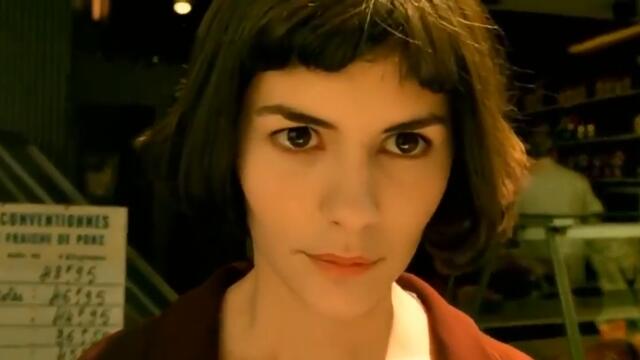 Amélie   the Blind Man Scene   English Subtitles