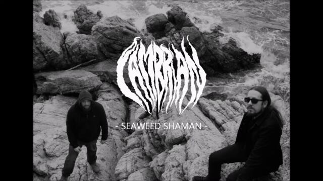 CAMBRIAN   Seaweed Shaman