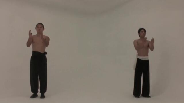 洪家虎鶴 | THE INVINCIBLE TIGER AND CRANE (2021) — LAU KAR-LEUNG STYLE SHAW BROTHERS KUNG FU FIGHT SCENE