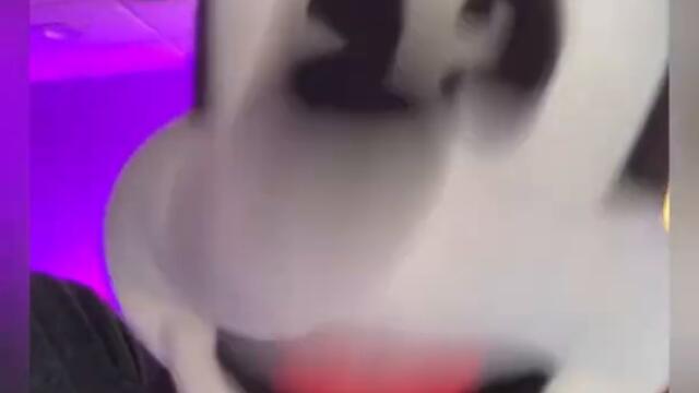 Mickey Mouse is ANGRY #shorts