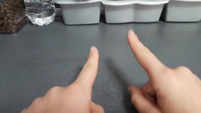 вкусни рецепти/мазало какво стана