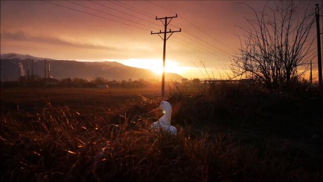 Duck's first Sunset this Spring